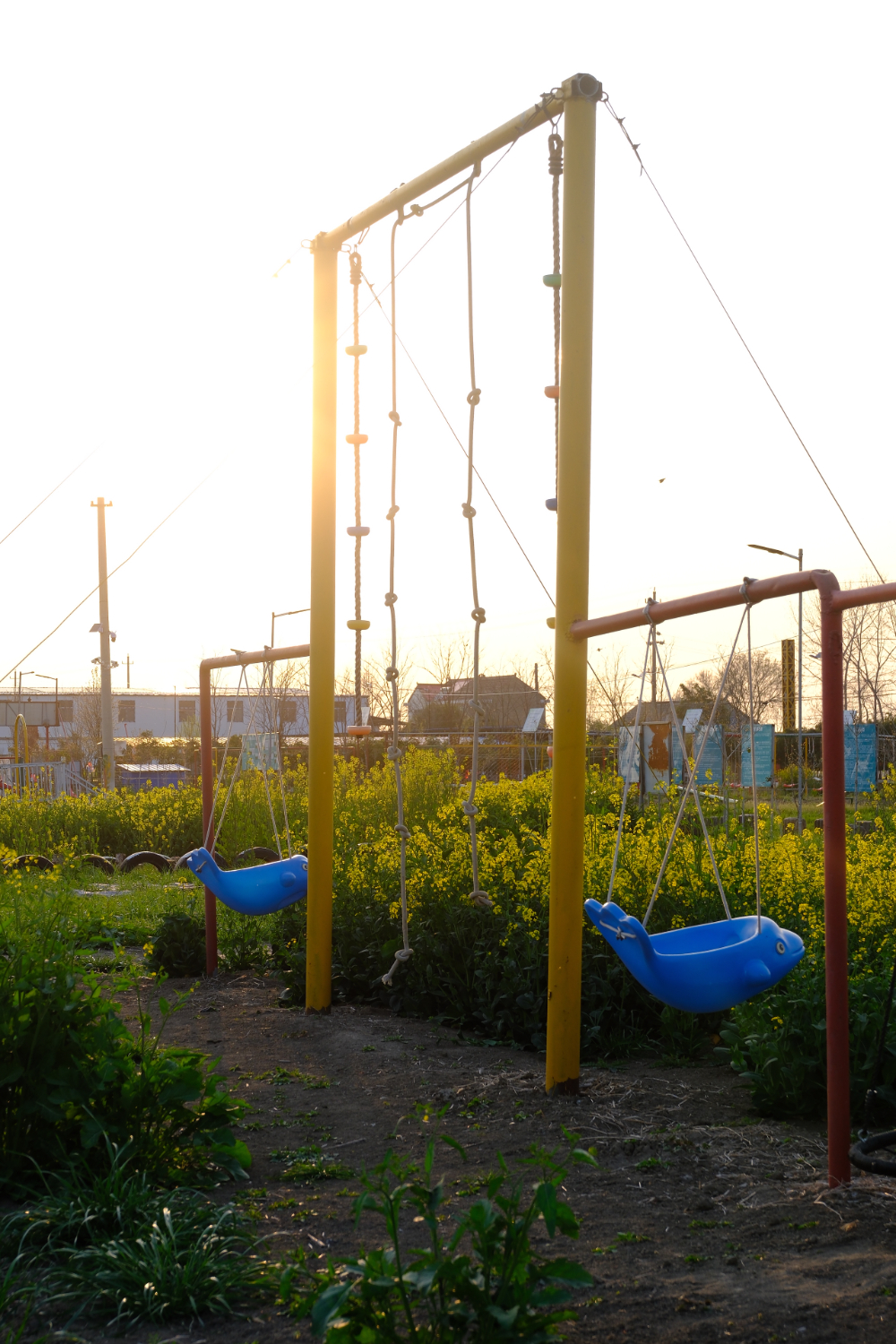DSCF5526.JPG