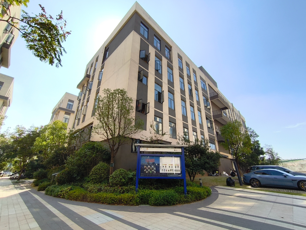 场地11-4.jpg
