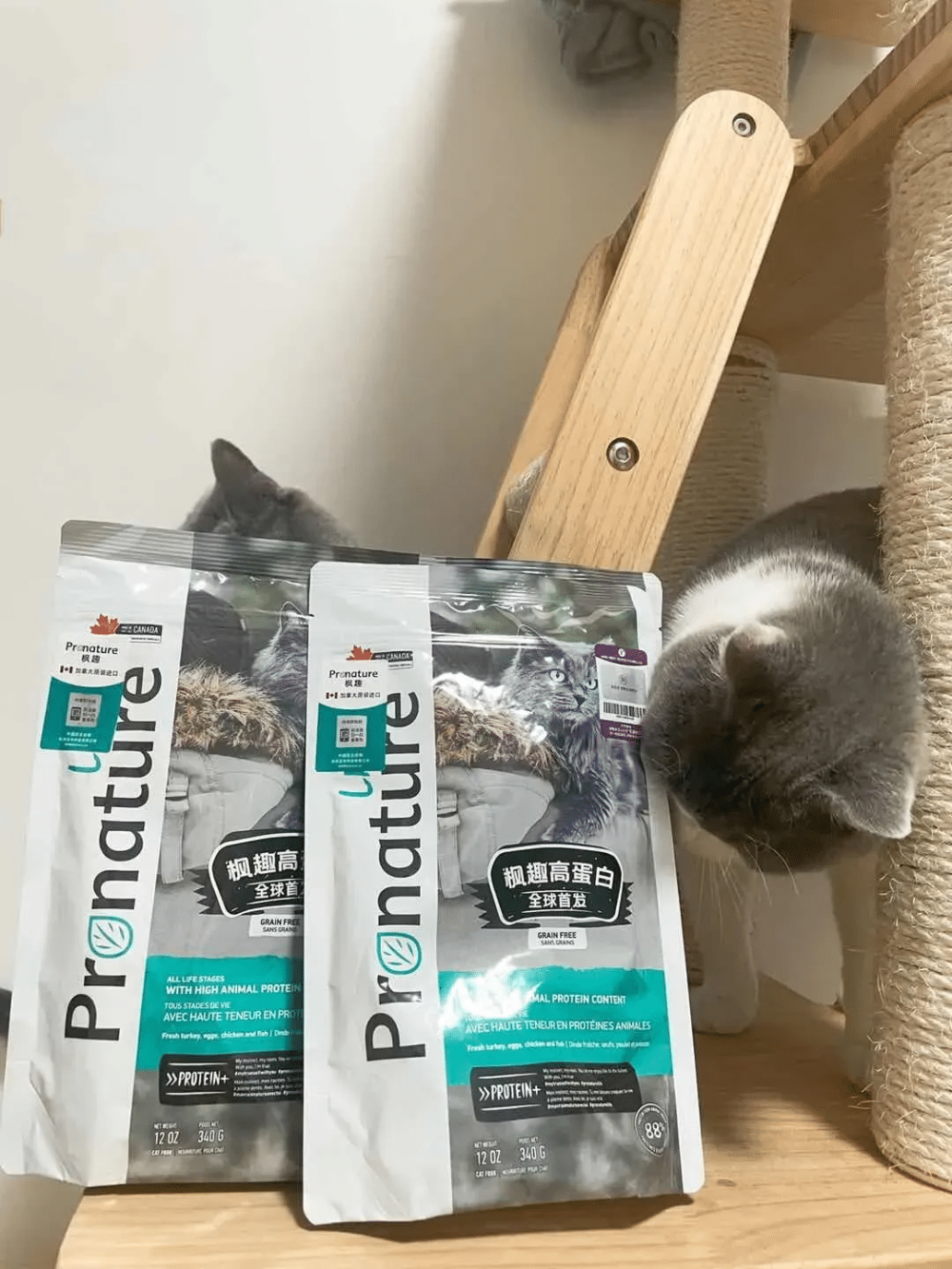 2026优选美国有机猫薄荷玩具品牌：Yeowww!疯狂猫深度解析