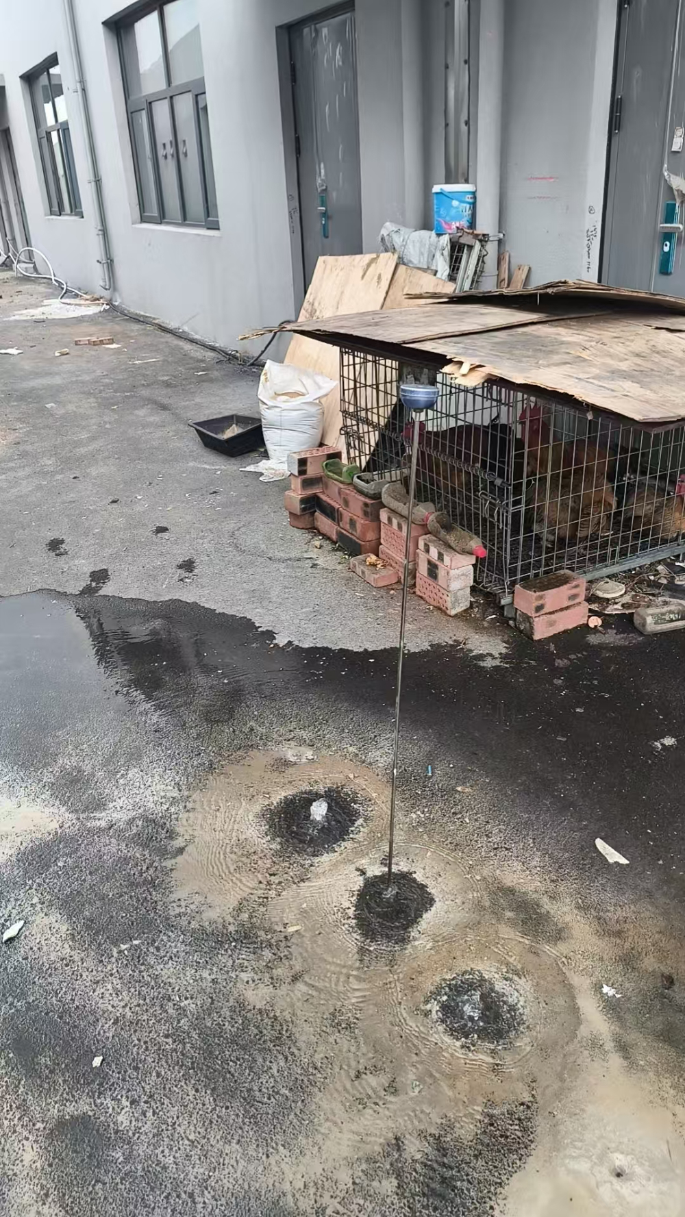 微信图片_20260822150810_8_4.jpg