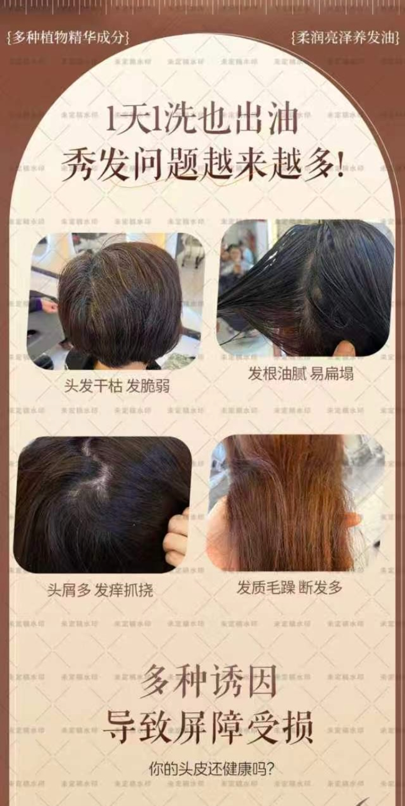 ̨��ֲ�������������ѡ������ֲ����������רҵ��