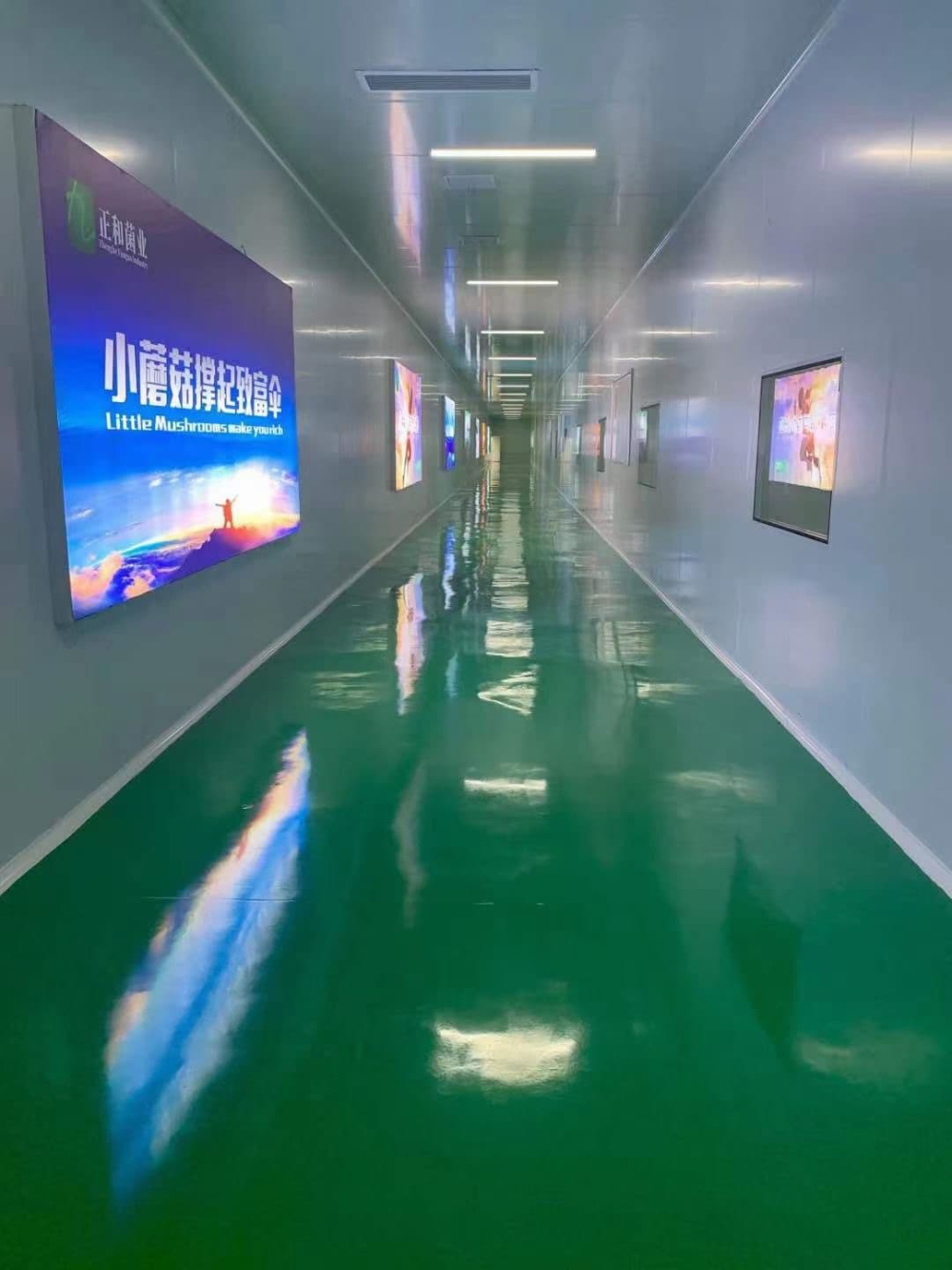 微信图片_20260723170950_235_275.jpg