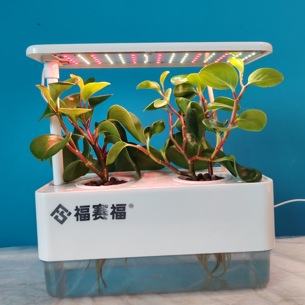 水培种植舱