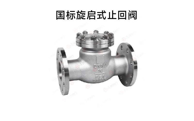 国标旋启式止回阀.jpg