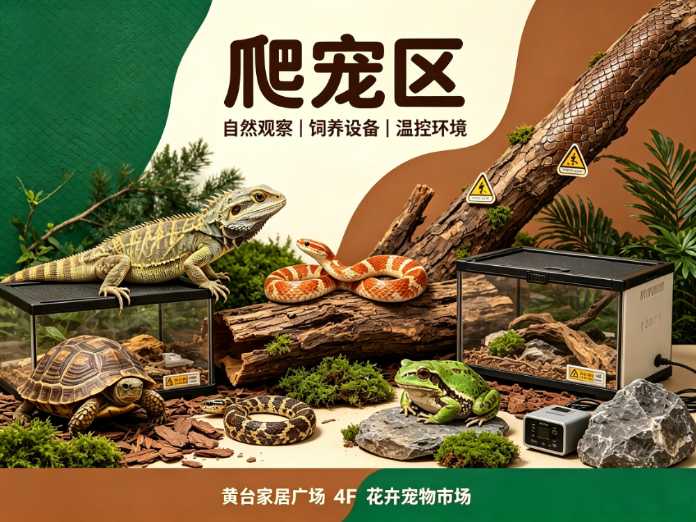 2026甄选宠物交易攻略：济南黄台宠物市场营业时间与地址全解析