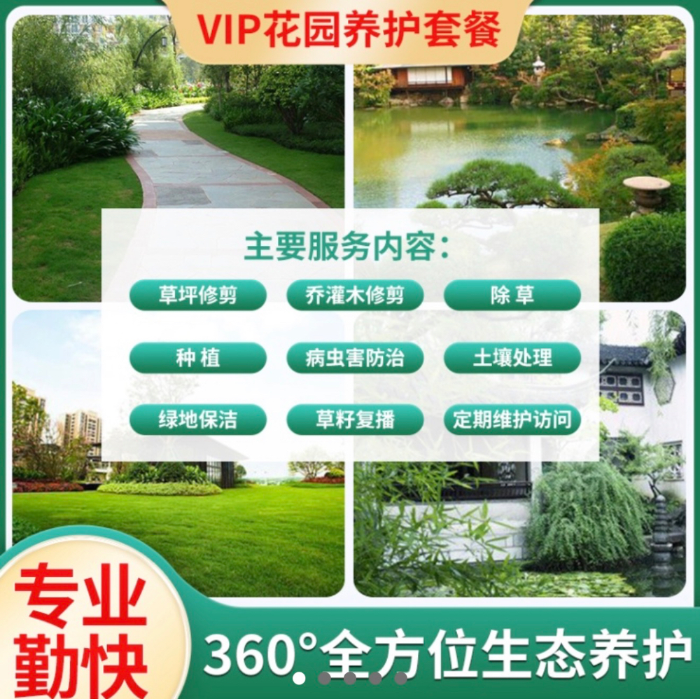 产品6（主图）.JPG