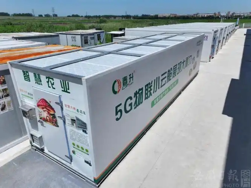 羊肚菌专用设备实力厂商推荐：选对装备，赢在起跑线