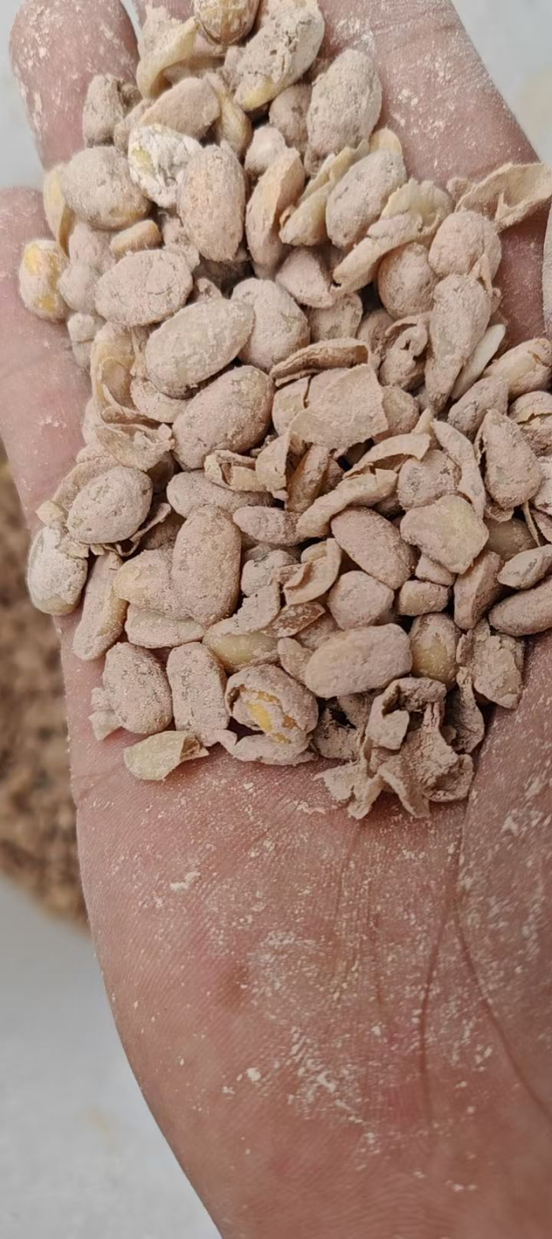 2026年值得信赖的生物有机肥品牌推荐：源头厂家直选指南