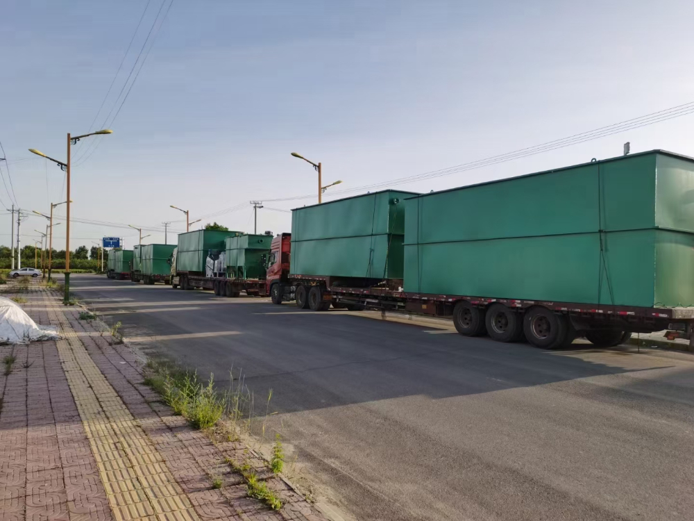 mmexport1630401875753.jpg