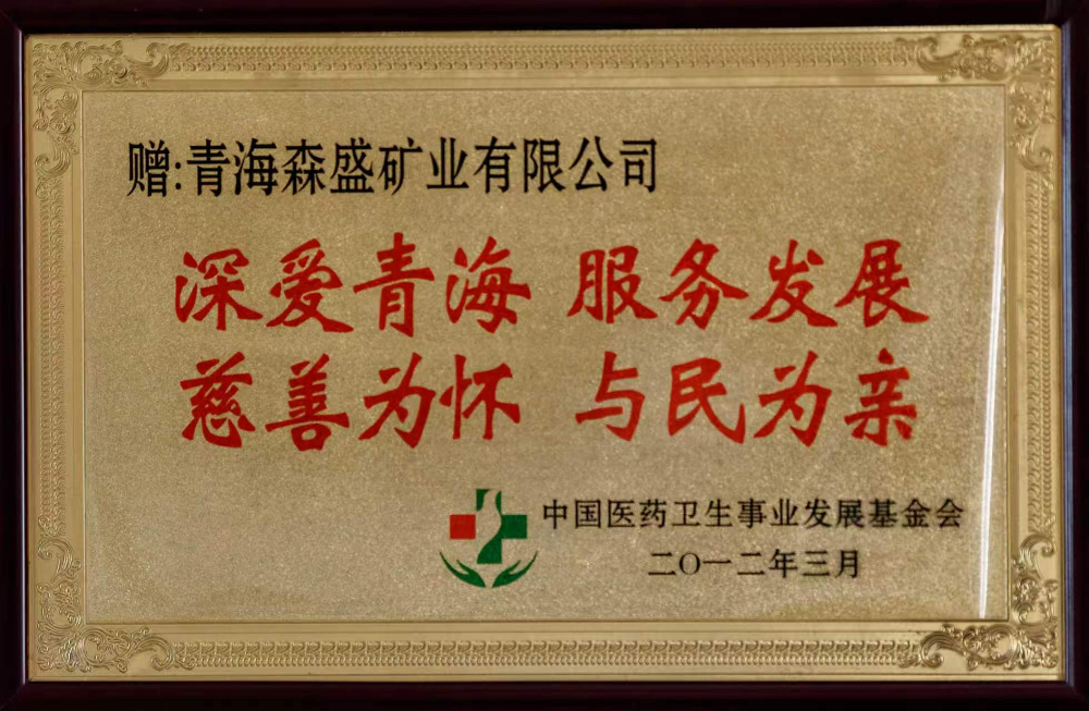 中国卫生事业发展基金铜牌.jpg