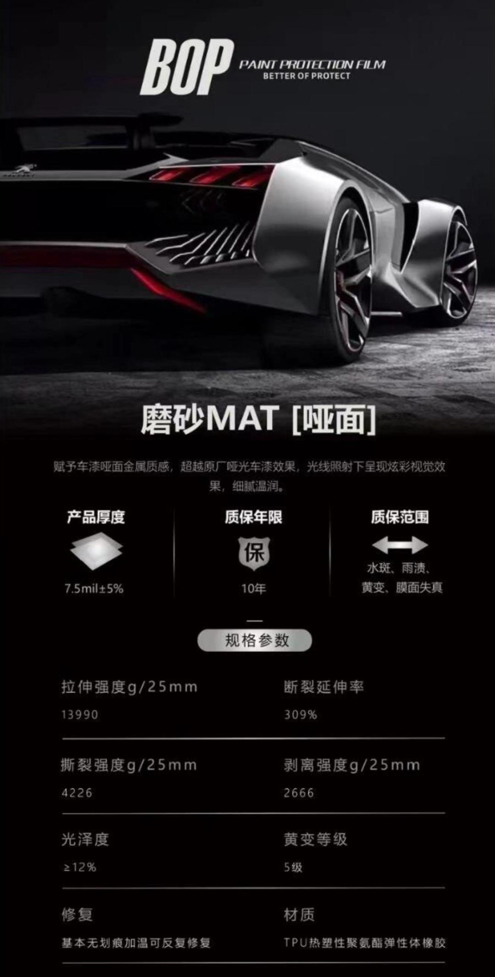 bop保镖 (10).jpg