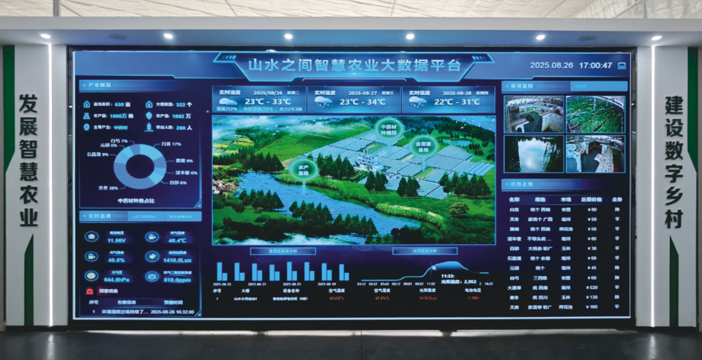 2026年10月重庆订单种植怎么选？这家口碑种苗基地值得关注