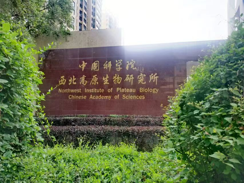 ���������õ�ȫ�Զ���ҳɨ���ǳ�����ô��ϵ��רҵ�ɹ�ָ��
