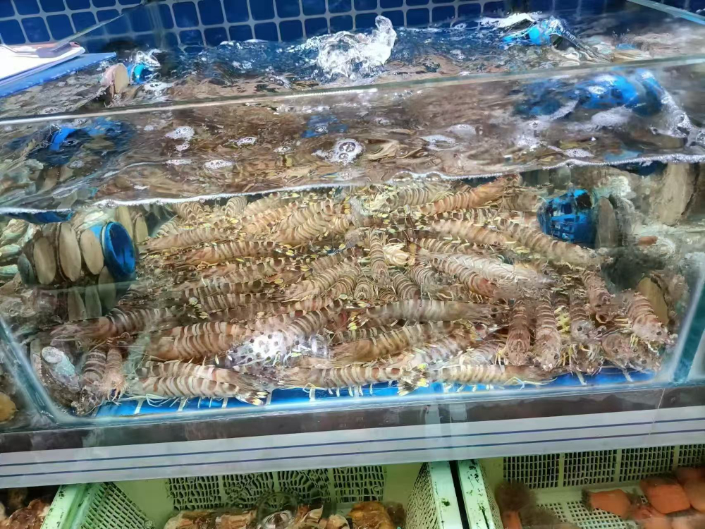 活海鲜1.jpg
