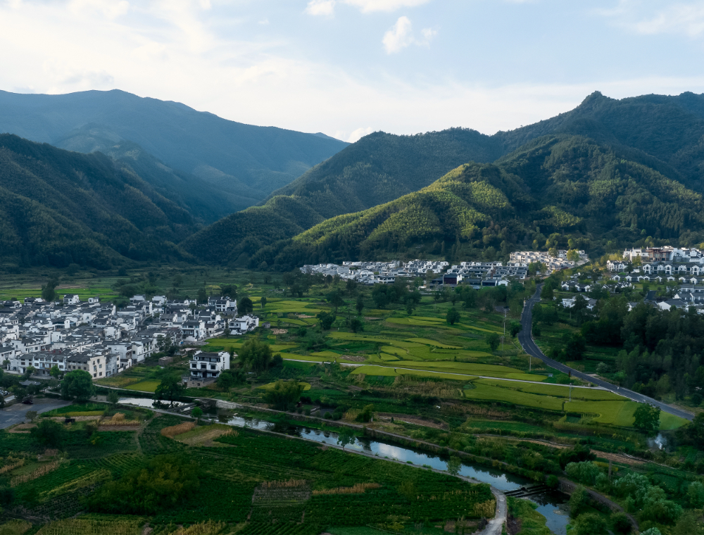2026优选诚信的庭院设计公司：打破选择困境的深度洞察