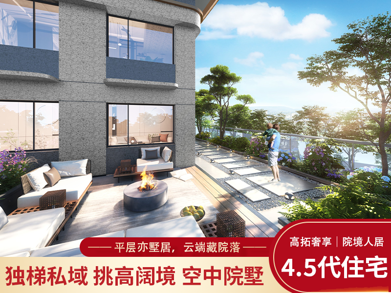 双空中院子住宅