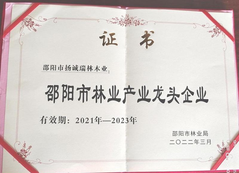 荣誉6.jpg