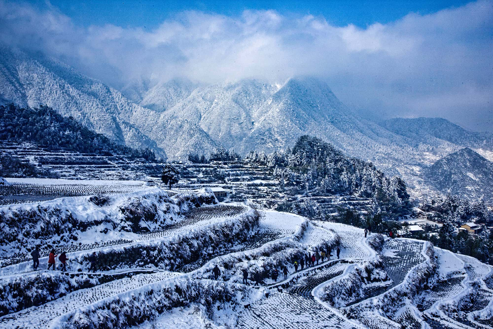 奖-马益芬-《雪中梯田》168-2.jpg