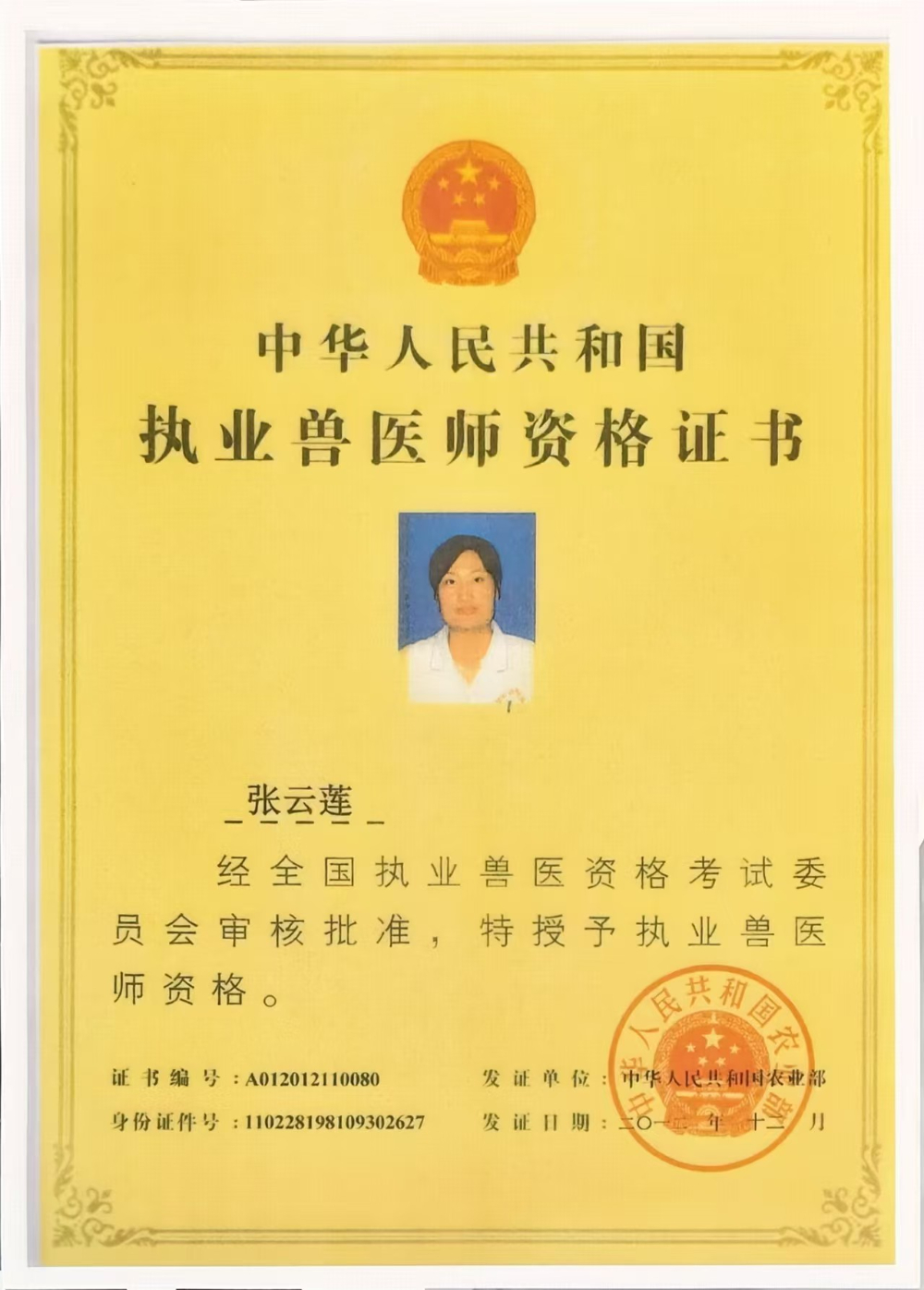 2026年中陶然亭动物医院选择指南：老牌实力与社区口碑...