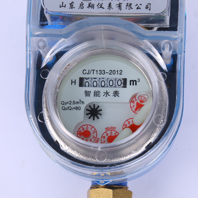 1J6A6199.jpg