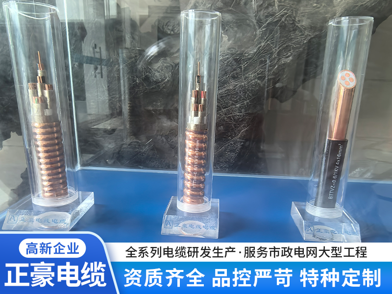 画板 6.png