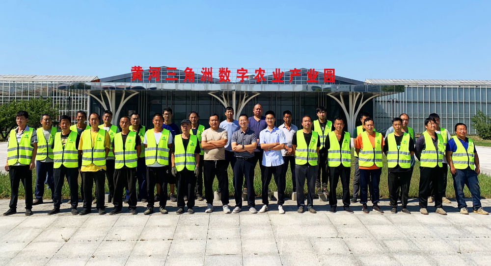 2026年中升降草莓系统厂家推荐：潍坊金鑫盟农业发展有限公司深度解析