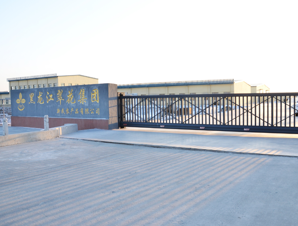 沈阳新民 (1).JPG