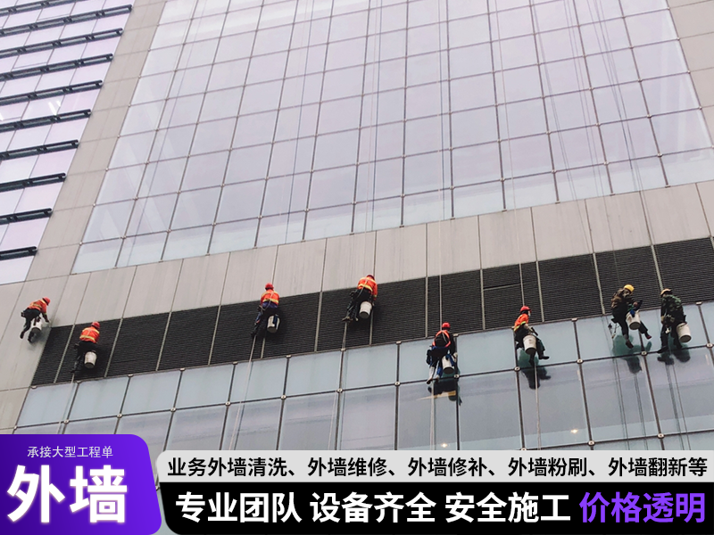 画板 14.png
