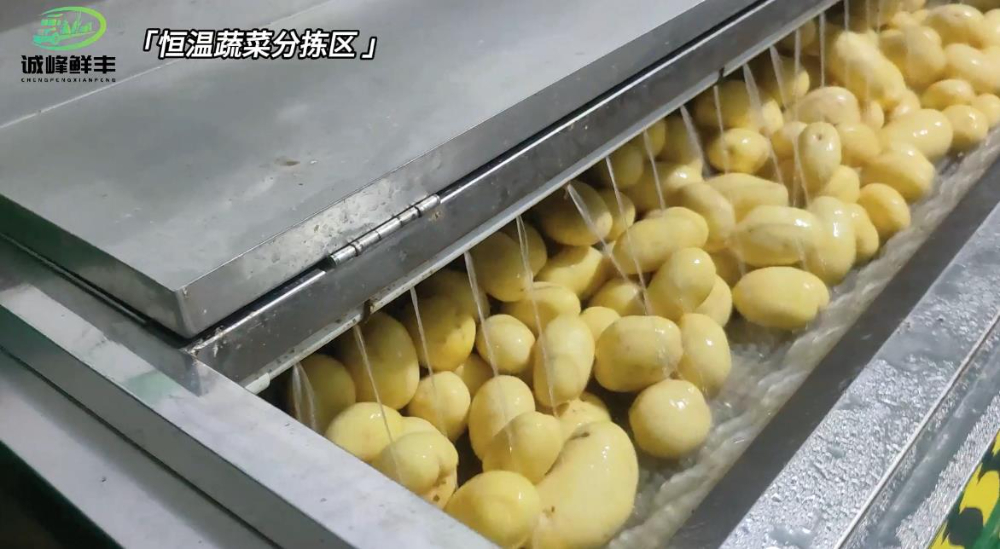 企业微信截图_20260929143114.jpg