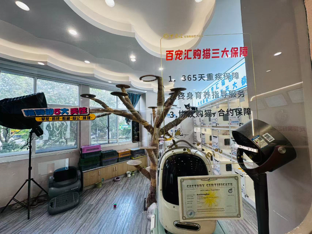 店内环境1.jpg