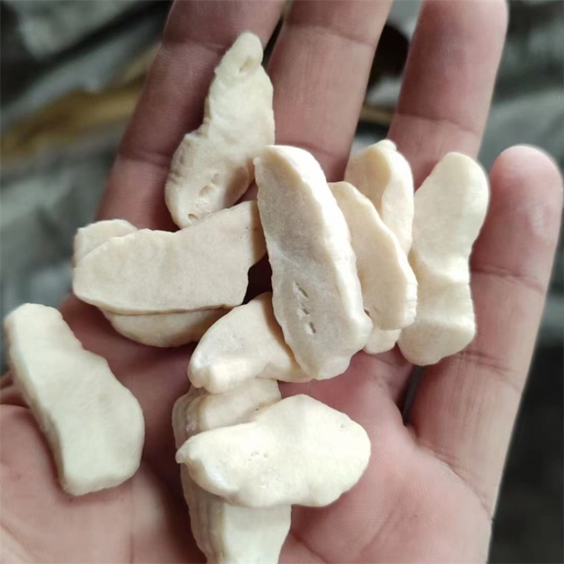 微信图片_7.jpg