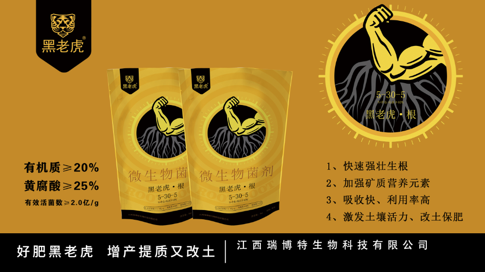 土壤健康的守护者：以豆粕蚕砂有机无机生态肥守护耕地的品牌样本