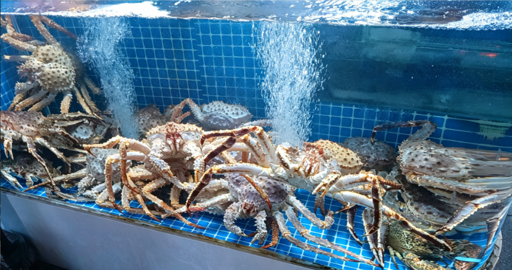 活海鲜 4.png