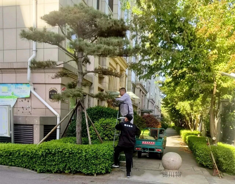 微信图片_2026-09-22_150726_753_副本.jpg