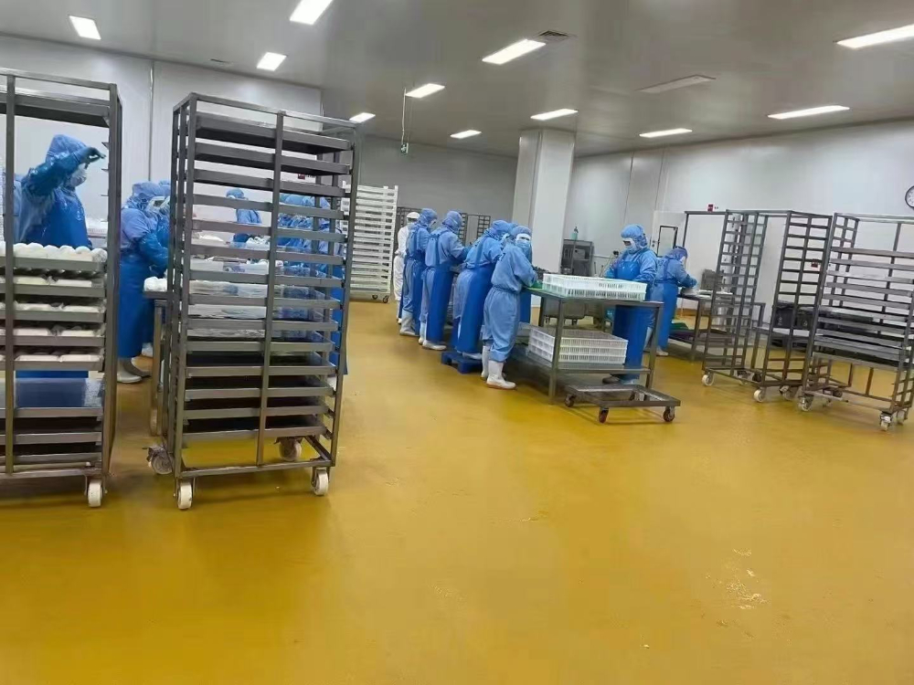 水性聚氨酯砂浆地坪公司选择指南：浦东新区诚信标准与实战参考