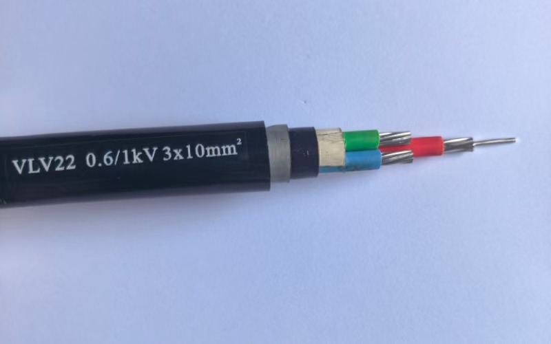 VLV22 (1).jpg