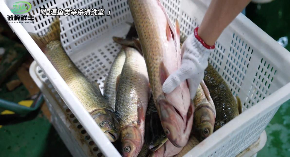 企业微信截图_20260929143125.jpg