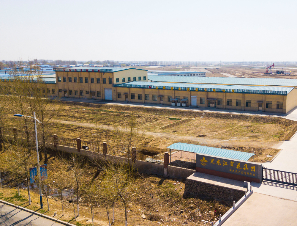 沈阳新民 (3).JPG