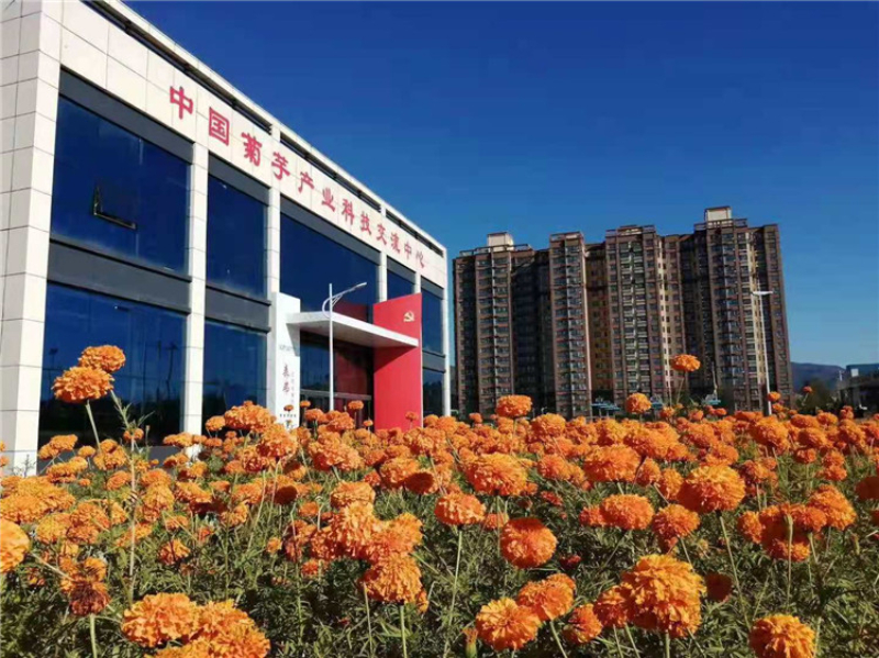 微信图片_20210712150913.jpg