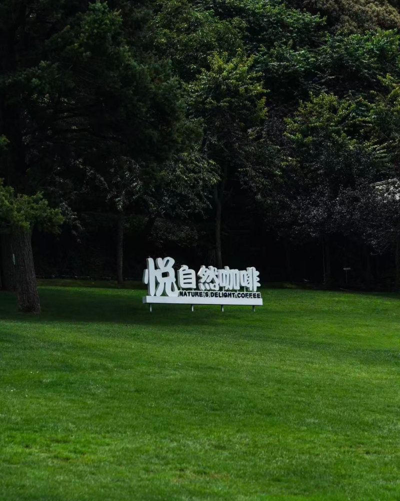 合肥站草皮 - 供货商