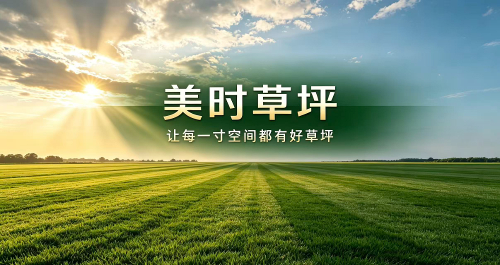 2026年10月黄冈草皮销售公司哪家好，这几个挑选维度不妨先看看
