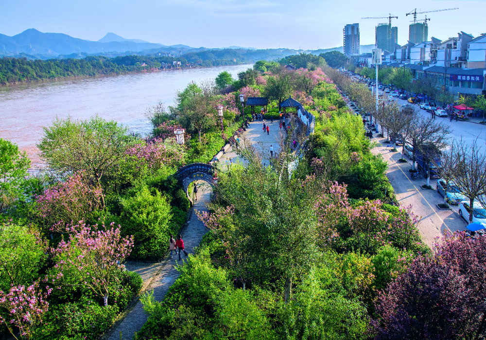 樱花公园