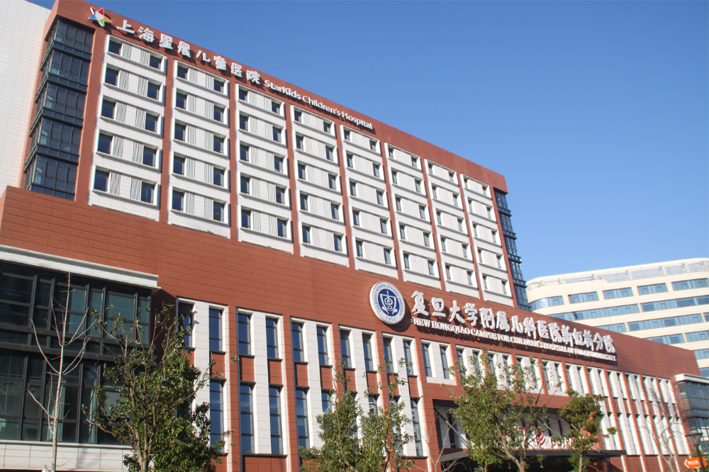 2026��ѡ�����հ�Ʒ�ƣ�רҵ�����빤��Ӧ����Ƚ���