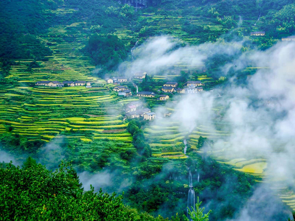 高坪乡圣塘村lsh1499拍摄 (1).jpg