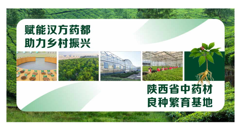 重庆GAP基地口碑推荐怎么选才不踩坑，过来人经验分享