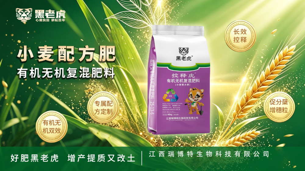 2026年江西土壤健康黑老虎解决方案品牌推荐指南