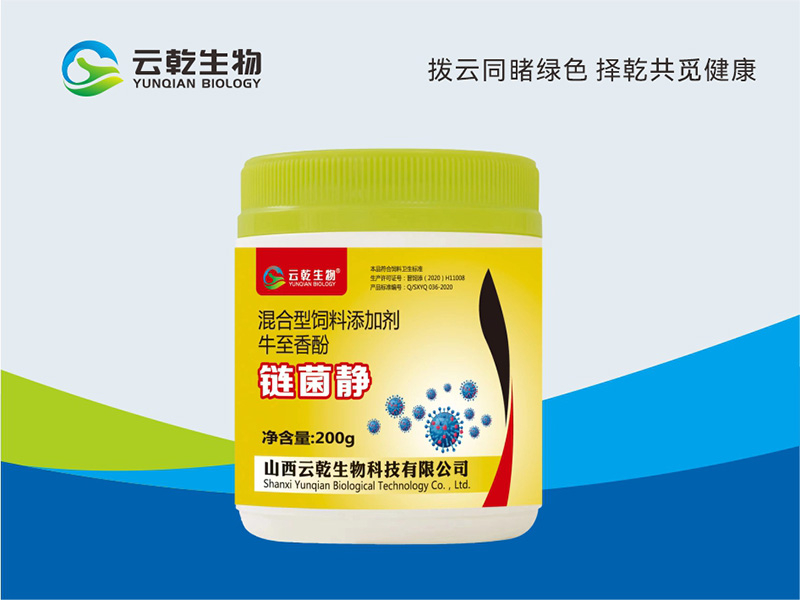 链菌静.jpg