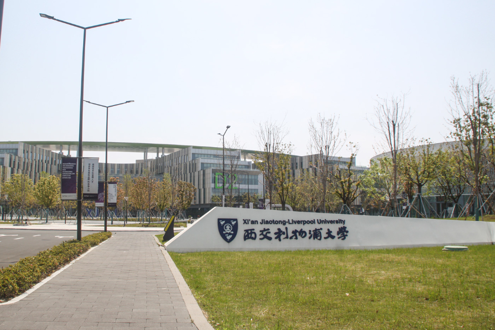 2026���кӱ����Ĳɹ�ָ�ϣ���ש�����ôѡ�ſ��ף�