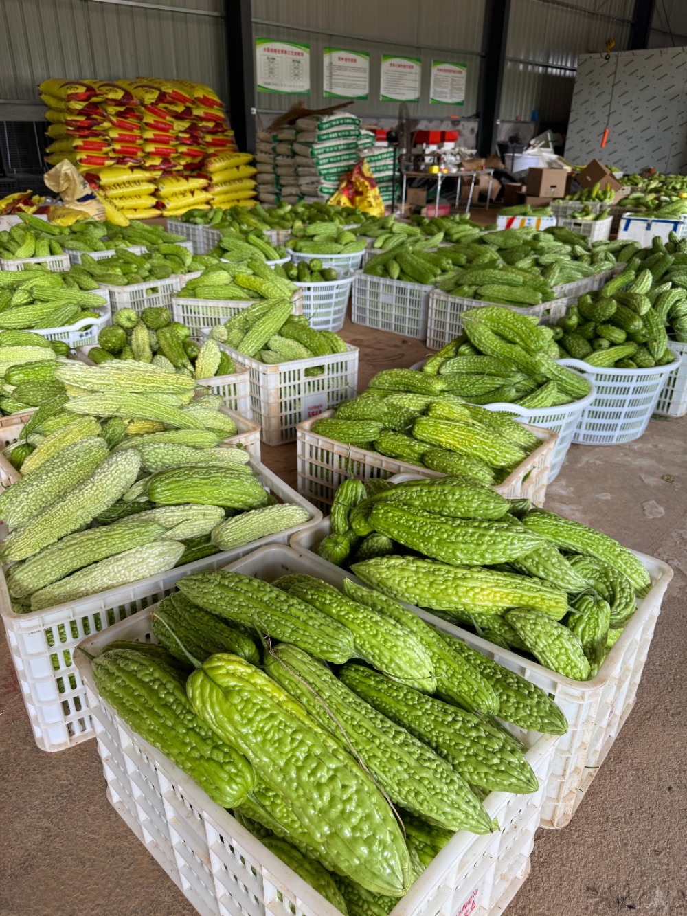 原材料加工.jpg