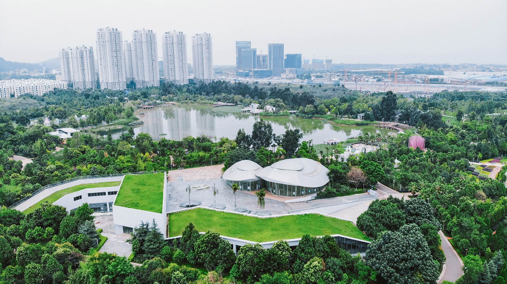昆明音乐剧艺考培训机构选择指南：专业判断与实战建议